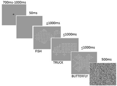 <mark class="highlighted">Visual Information Processing</mark> in Young and Older Adults